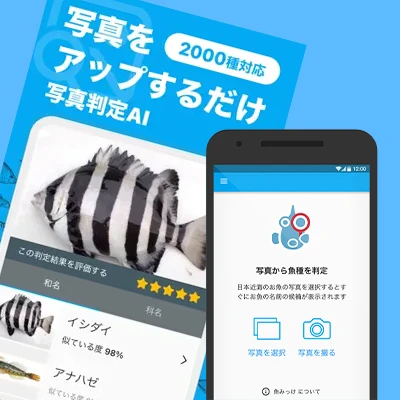 魚みっけ