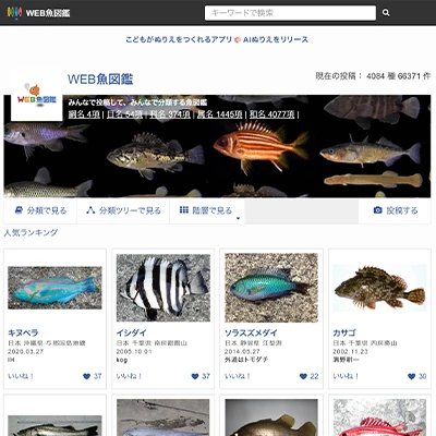WEB魚図鑑